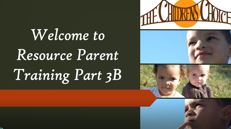DE Pre-Service Part 3B